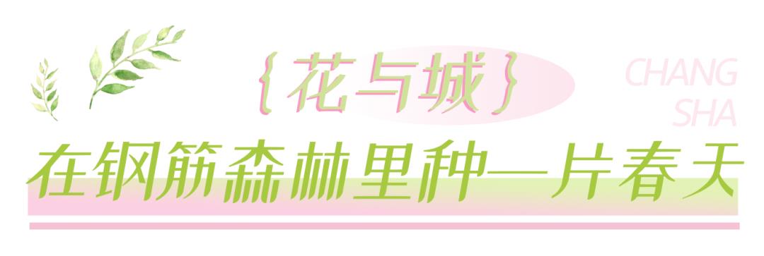 С(bio)}